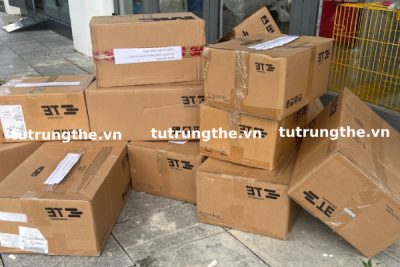 Bộ chia pha đầu cáp Raychem TE