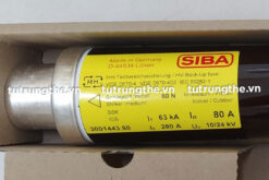 Cầu chì ống 10/24kV 80A Siba