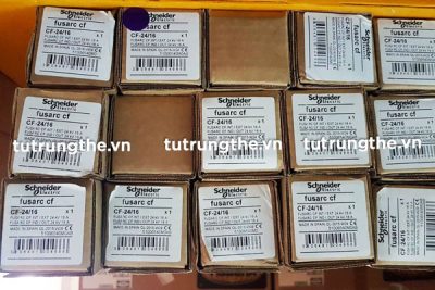 Cầu chì ống Schneider CF 24/16