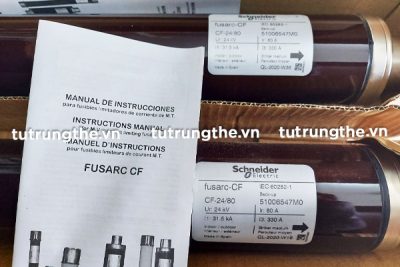 Cầu chì ống Schneider CF 24/80