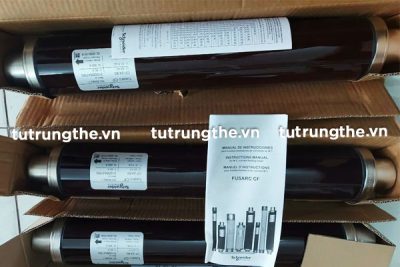 Cầu chì ống Schneider Fusarc CF
