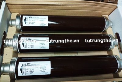 Cầu chì trung thế ETI 10/24kV 125A