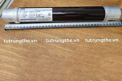 Ống chì 6,3A 24kV ABB lắp tủ RMU