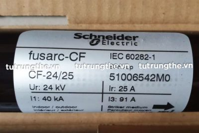 Thông số ống chì Schneider CF 24kV 25A