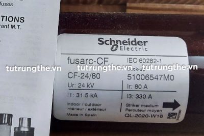 Thông số ống chì Schneider CF 24kV 80A