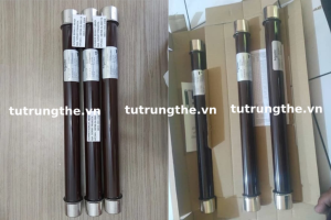 Lựa chọn cầu chì ống cho tủ RMU Schneider