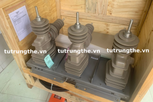 Máy cắt Recloser Schneider